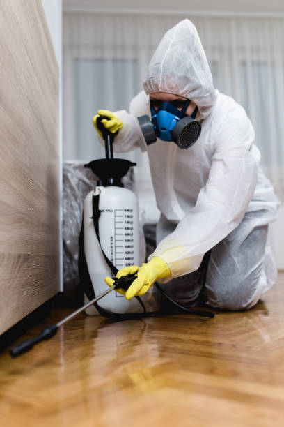 Reliable Sarasota Springs, FL Pest Control Solutions